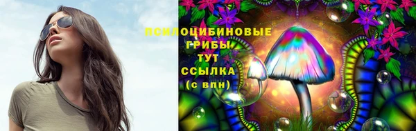 первитин Богородицк
