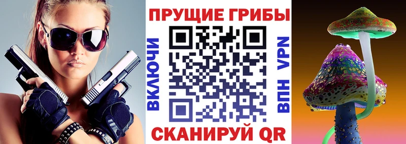 Псилоцибиновые грибы мицелий  купить   KRAKEN как зайти  Армавир 